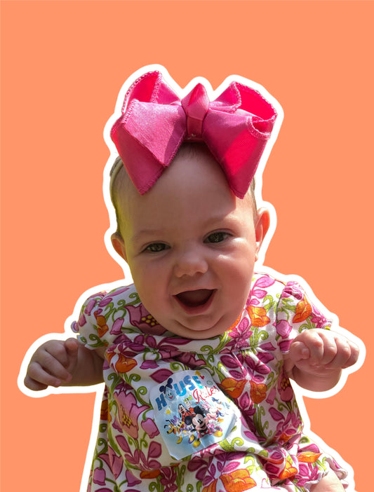 The Basic Bow Box ~ Subscription Box ~ 10% plus Free Shipping on Every Box