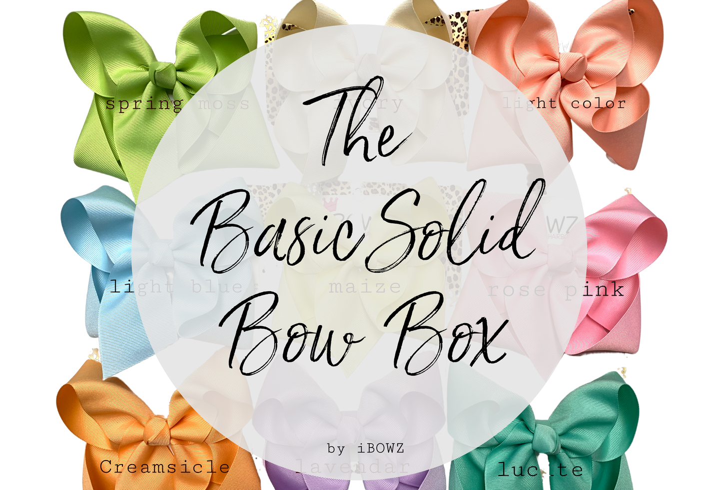 The Basic Bow Box ~ Subscription Box ~ 20% plus Free Shipping on Every Box