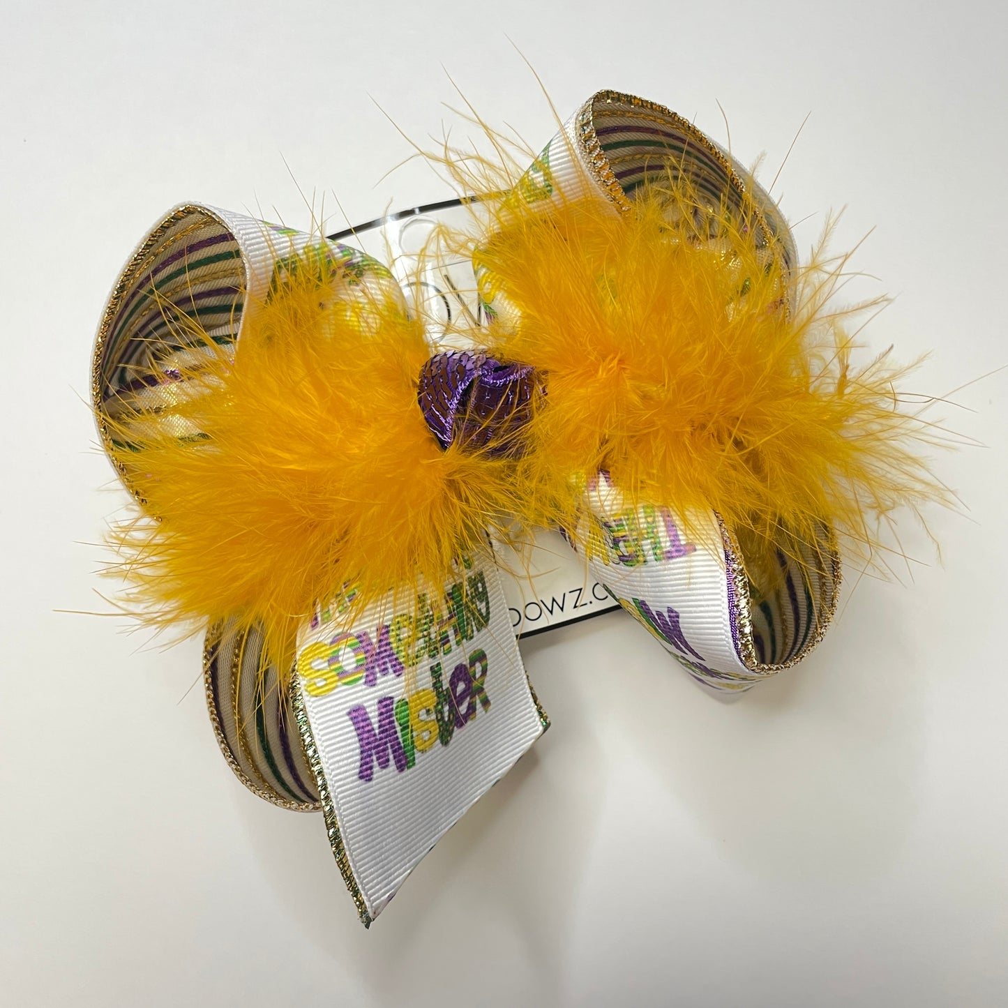 Mardi Gras Throw Me Something Fun Matching Hairbow and T-shirt ~ Mardi Gras New Orleans Louisiana Holiday ~ Exclusive iBOWZ design