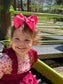 The Basic Bow Box  ~ Subscription Box ~ 20% plus Free Shipping on Every Box