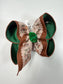 Southern Mallard !!  Triple Layer Fun bow ~ Perfect for the Duck Lovers