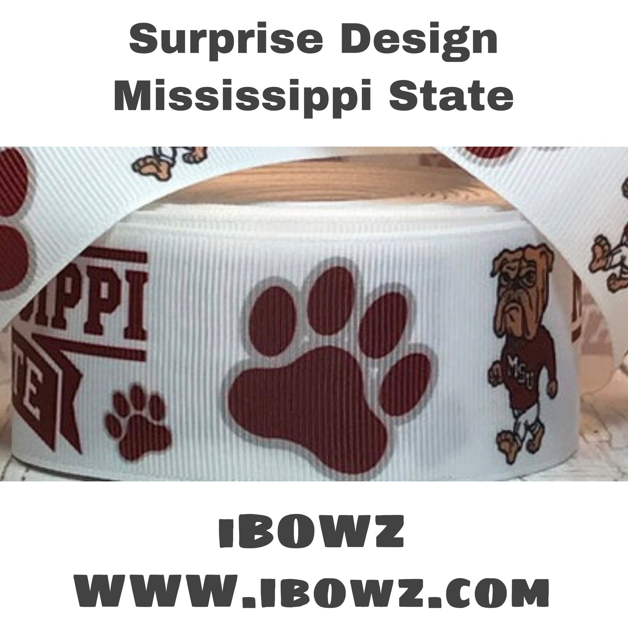 Surprise Design ~ Mississippi State Fun iBOWZ
