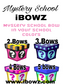 LARGE BOWS 6"  |  School Spirit Fun bows |  Surprise school bows in your school colors